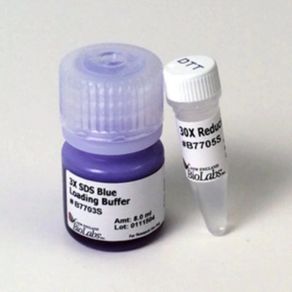 BLUE-LOADING-BUFFER-PACK--SDS-PAGE----8ML